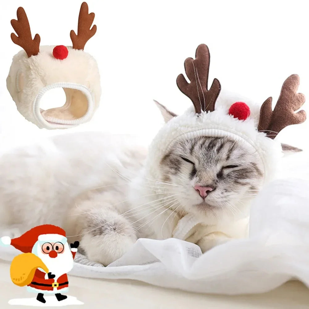 Christmas costume for cats and small dogs – Santa's Gallery